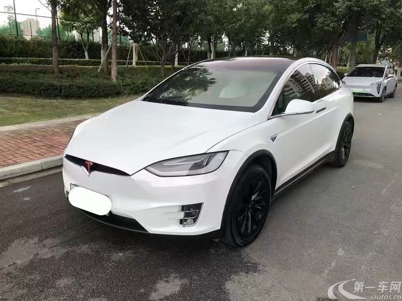 特斯拉MODEL X [进口] 2017款 自动 100D 纯电动 