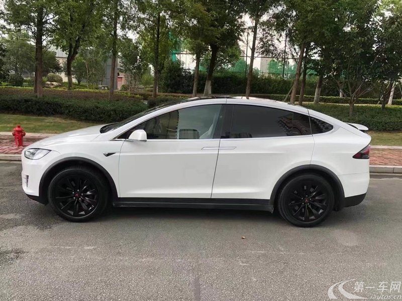 特斯拉MODEL X [进口] 2017款 自动 100D 纯电动 