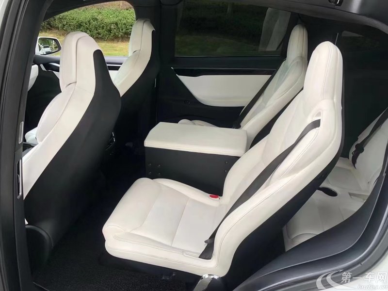 特斯拉MODEL X [进口] 2017款 自动 100D 纯电动 