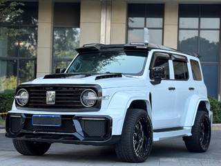 坦克坦克300 城市版 2.0T 自动 必须型 