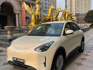 吉利银河星愿 0.0T 自动 310km青春版 