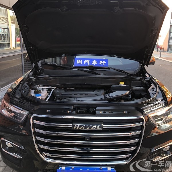 哈弗哈弗H6 2020款 2.0T 自动 前驱 铂金冠军版 (国Ⅵ) 