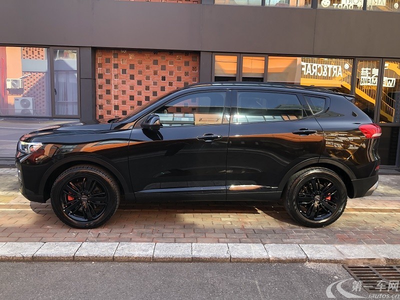 哈弗哈弗H6 2020款 2.0T 自动 前驱 铂金冠军版 (国Ⅵ) 