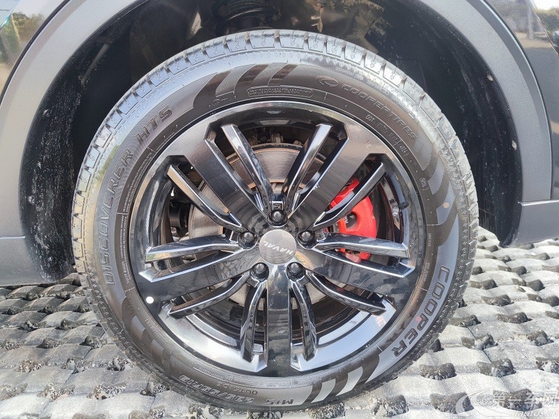 哈弗哈弗H6 2020款 2.0T 自动 前驱 铂金冠军版 (国Ⅵ) 