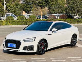 A5掀背 40TFSI 2.0T 自动 豪华动感型 