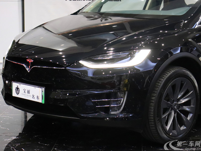 特斯拉model x [進口] 2017款 自動 100d長續航版 純電動