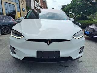 MODEL X 100D 