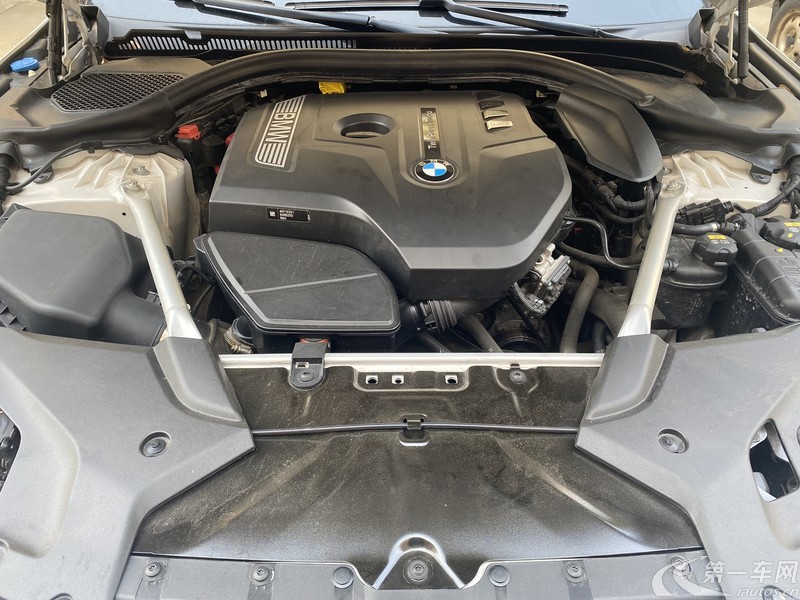 宝马5系 530Li 2019款 2.0T 自动 汽油 尊享型豪华套装 (国Ⅵ) 