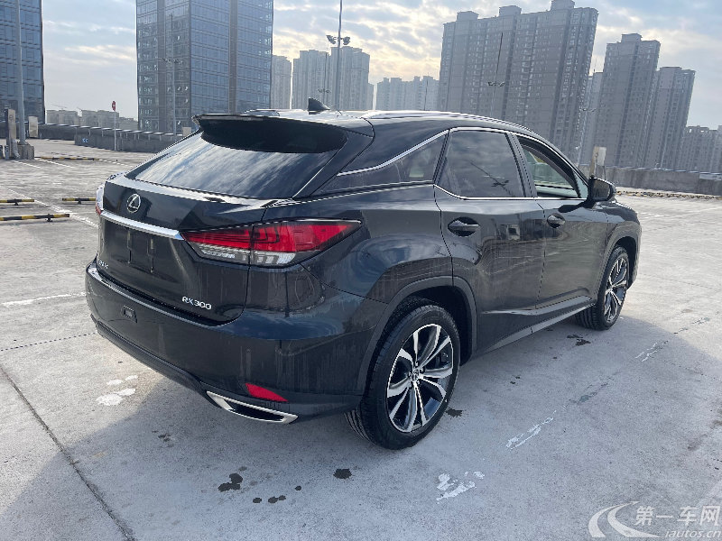 雷克萨斯RX 300 [进口] 2021款 2.0T 自动 四驱 特别版 