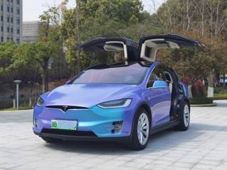 特斯拉MODEL X 自动 100D 