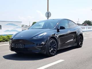 特斯拉MODEL Y 0.0T 自动 标准续航版 