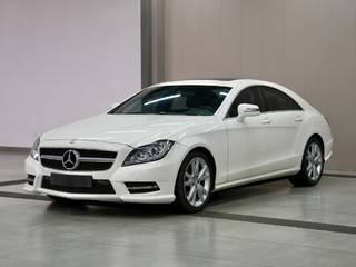 奔驰CLS级 CLS300 