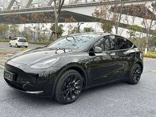 特斯拉MODEL Y 0.0T 自动 后驱版 