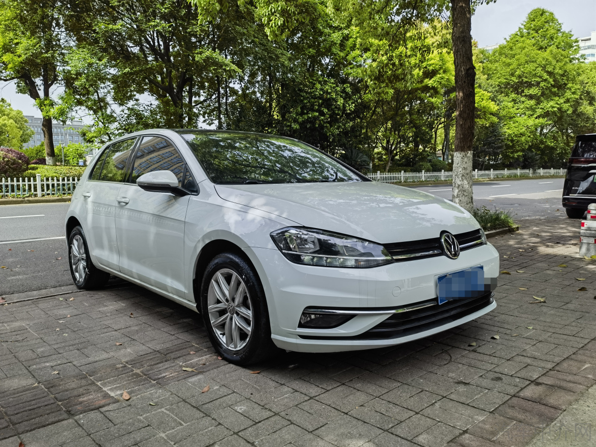 大众高尔夫 2019款 1.6L 自动 汽油 舒适型 价格0万 