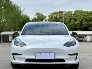 特斯拉MODEL 3 自动 长续航双电机全轮驱动 