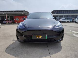 特斯拉MODEL Y 0.0T 