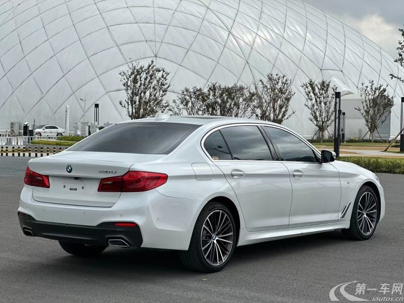 宝马5系 530Li 2019款 2.0T 自动 汽油 尊享型M运动套装 (国Ⅴ) 