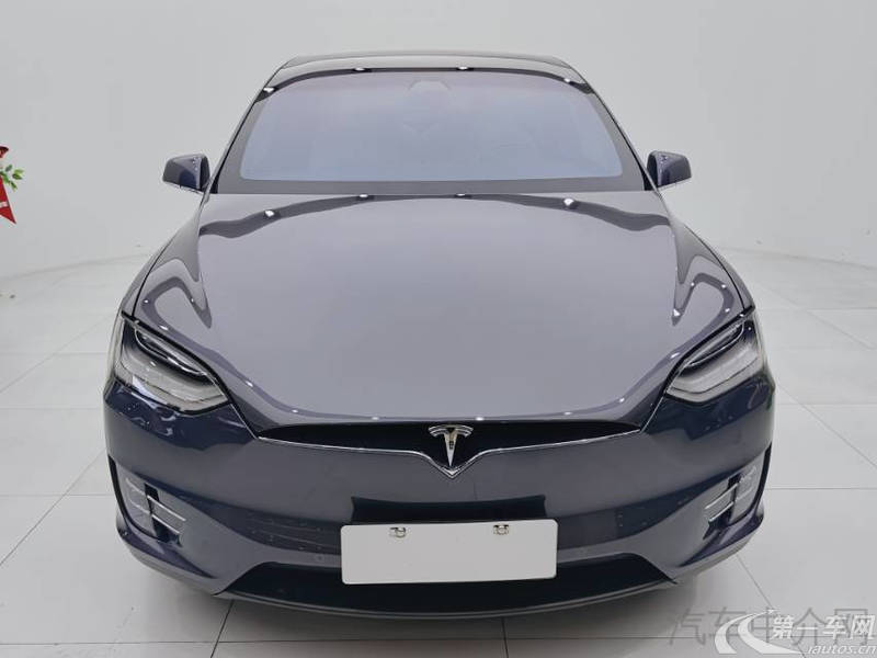 特斯拉MODEL X [进口] 2020款 自动 长续航升级版 纯电动 