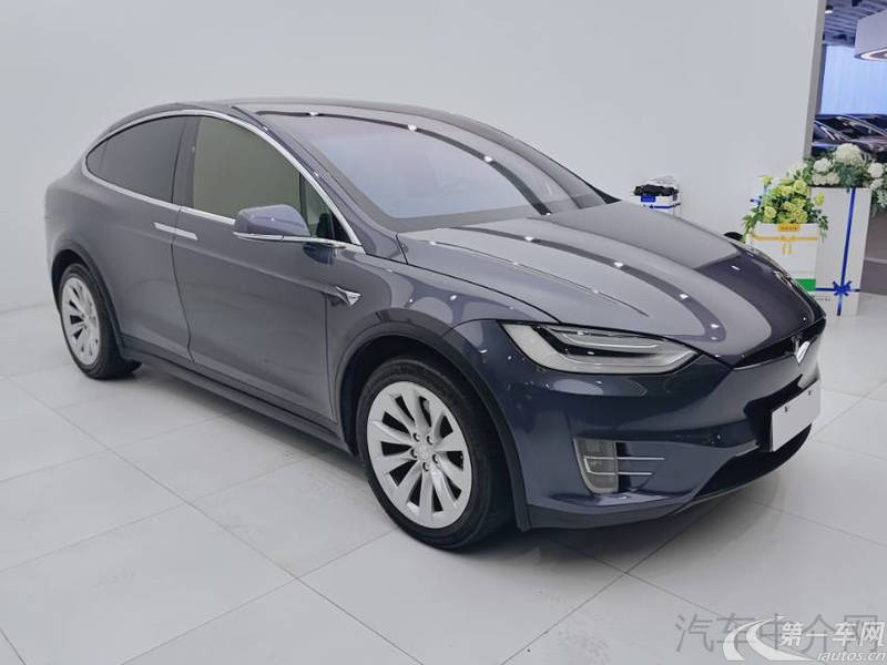 特斯拉MODEL X [进口] 2020款 自动 长续航升级版 纯电动 