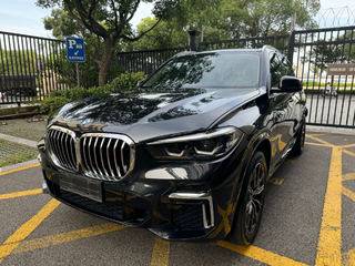 宝马X5 xDrive40Li 3.0T 自动 M运动套装 