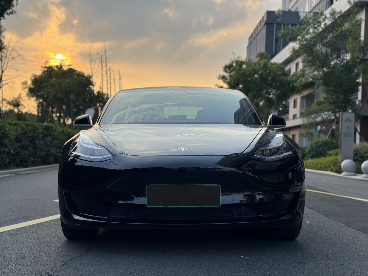 特斯拉MODEL 3 2020款 自动 标准续航升级版 纯电动价格0万 