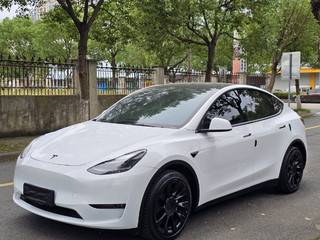 特斯拉MODEL Y 0.0T 自动 标准续航版 