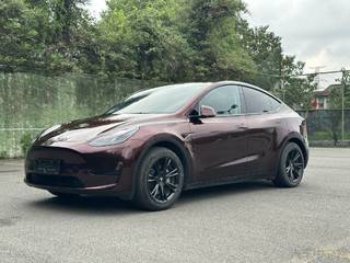 特斯拉MODEL Y 0.0T 自动 后轮驱动版 