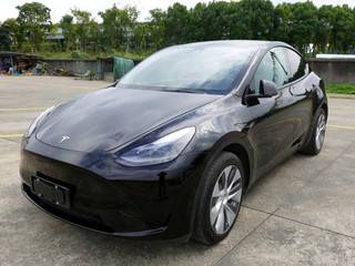 特斯拉MODEL Y 0.0T 