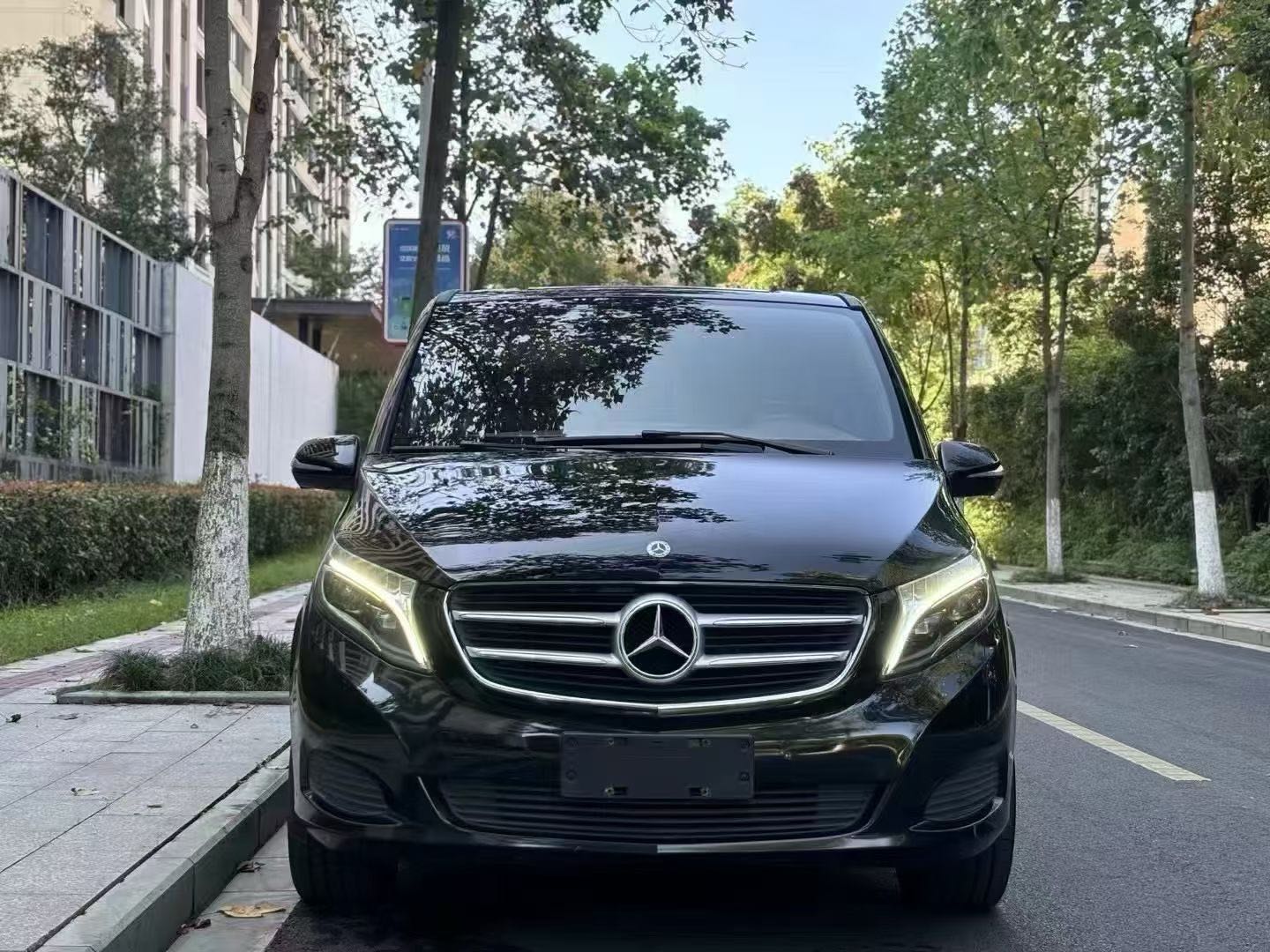 奔驰V级 2018款 2.0T 自动 V260领航版 价格0万 