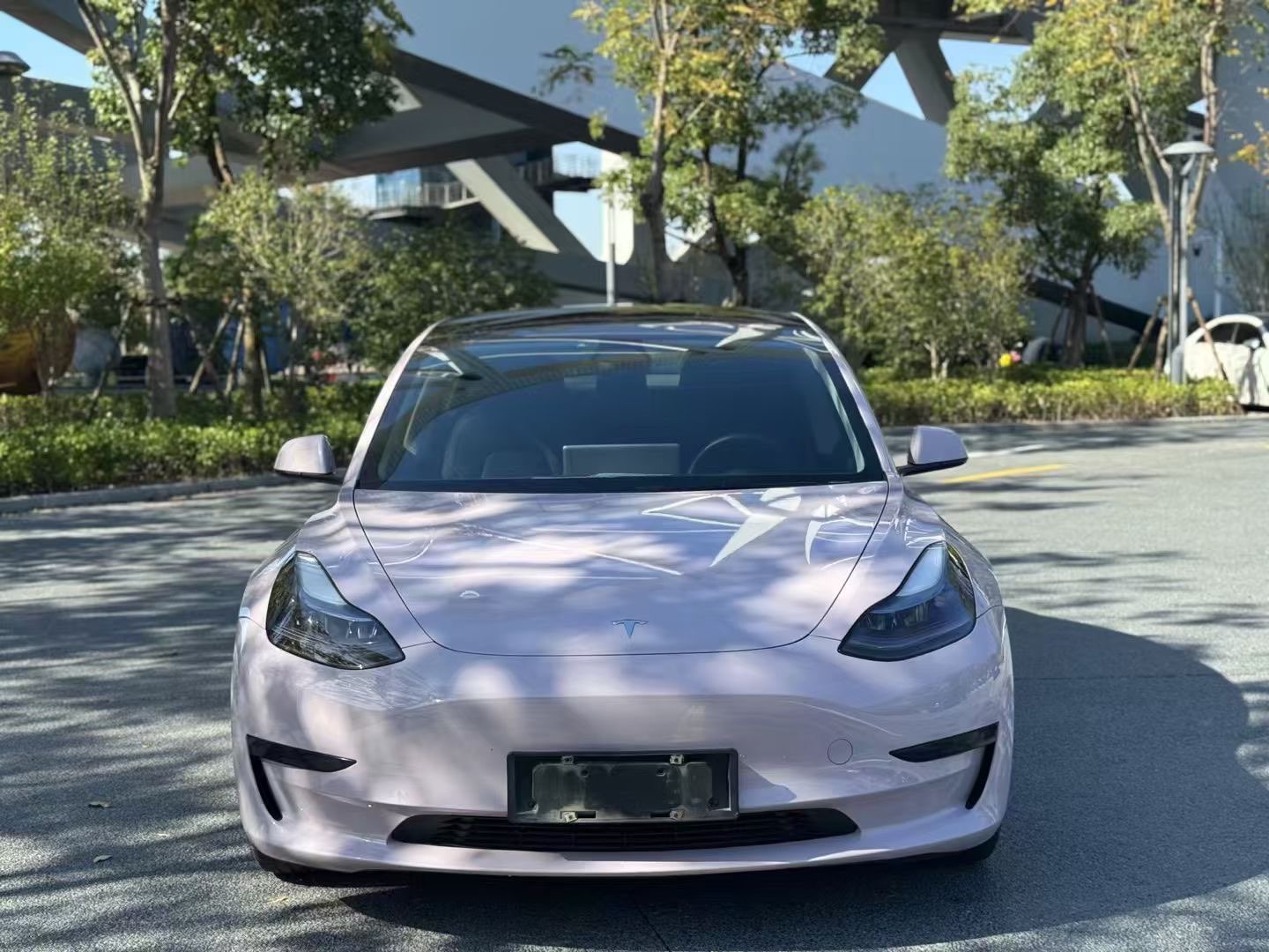 特斯拉MODEL 3 [进口] 2019款 自动 长续航电池 纯电动价格0万 
