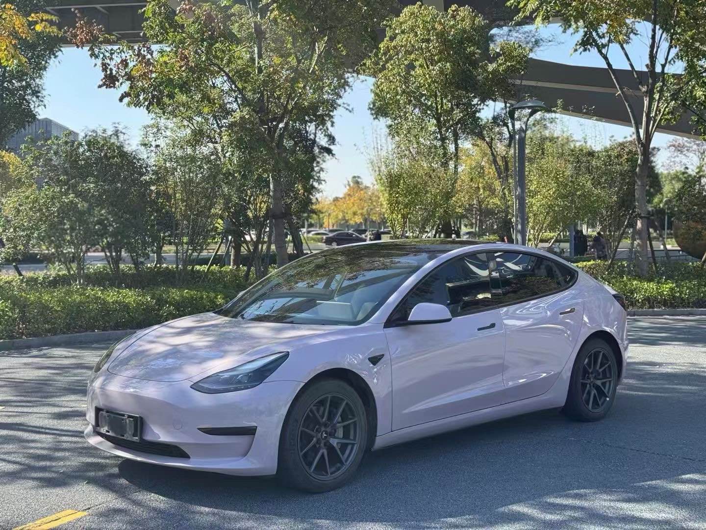 特斯拉MODEL 3 [进口] 2019款 自动 长续航电池 纯电动价格0万