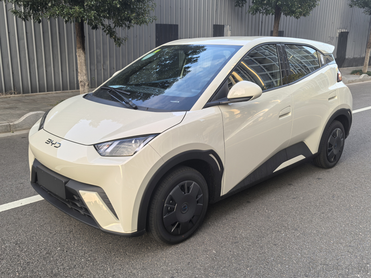 比亚迪海鸥 荣耀版 2024款 0.0T 自动 305km活力版价格0万