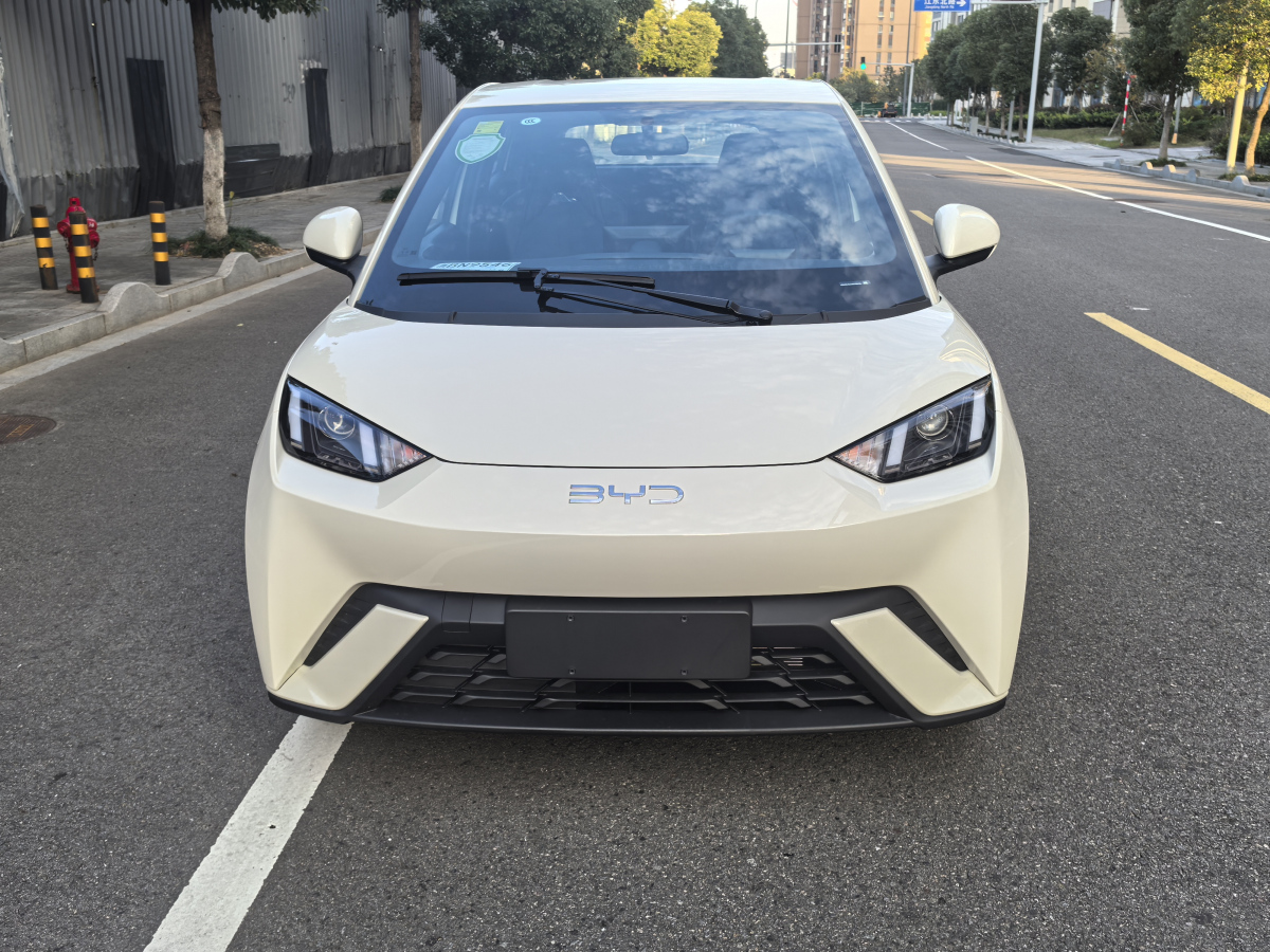 比亚迪海鸥 荣耀版 2024款 0.0T 自动 305km活力版价格0万 