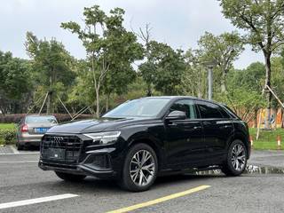 奥迪Q8 55 3.0T 自动 豪华动感型 