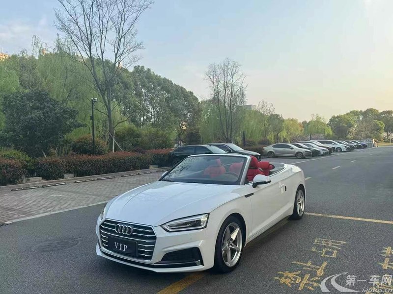 奥迪A5敞篷 45TFSI [进口] 2019款 2.0T 自动 汽油 运动型 