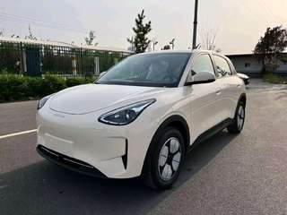 吉利星愿 0.0T 自动 310km青春版 