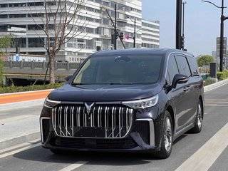 岚图梦想家 0.0T 自动 0碳版想+智驾续航包 