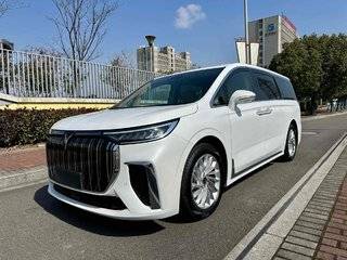 岚图梦想家 0.0T 自动 0碳版想+智驾续航包 